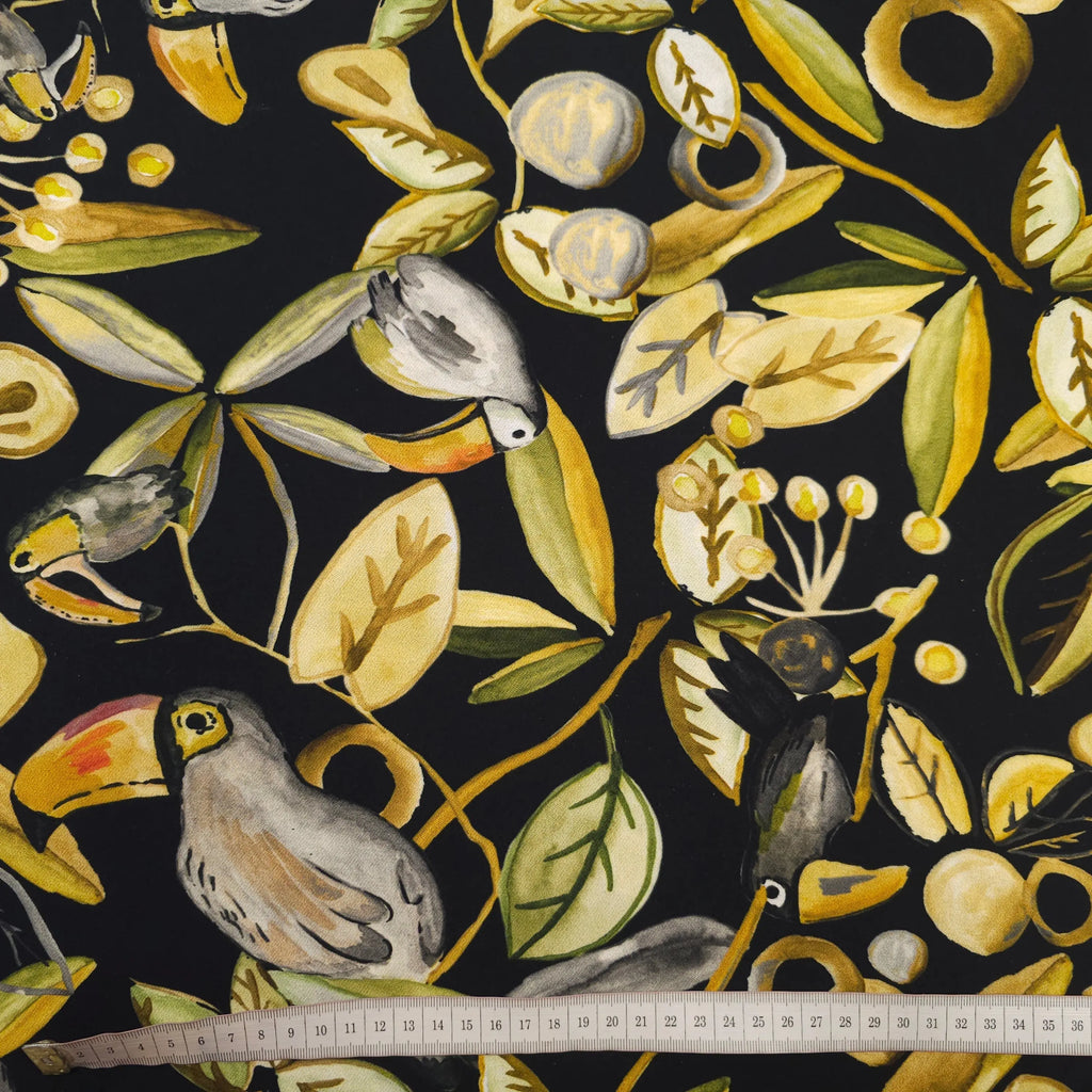 Tropischer Tukan Stoff | schwarz CSM-STOFFE